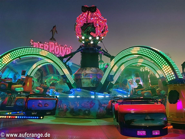 der polyp